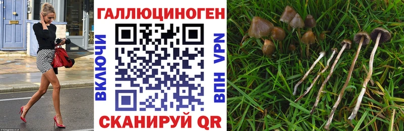 Псилоцибиновые грибы прущие грибы  Купить где  Химки 